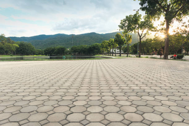 Best Concrete Paver Driveway  in Commerce, TX